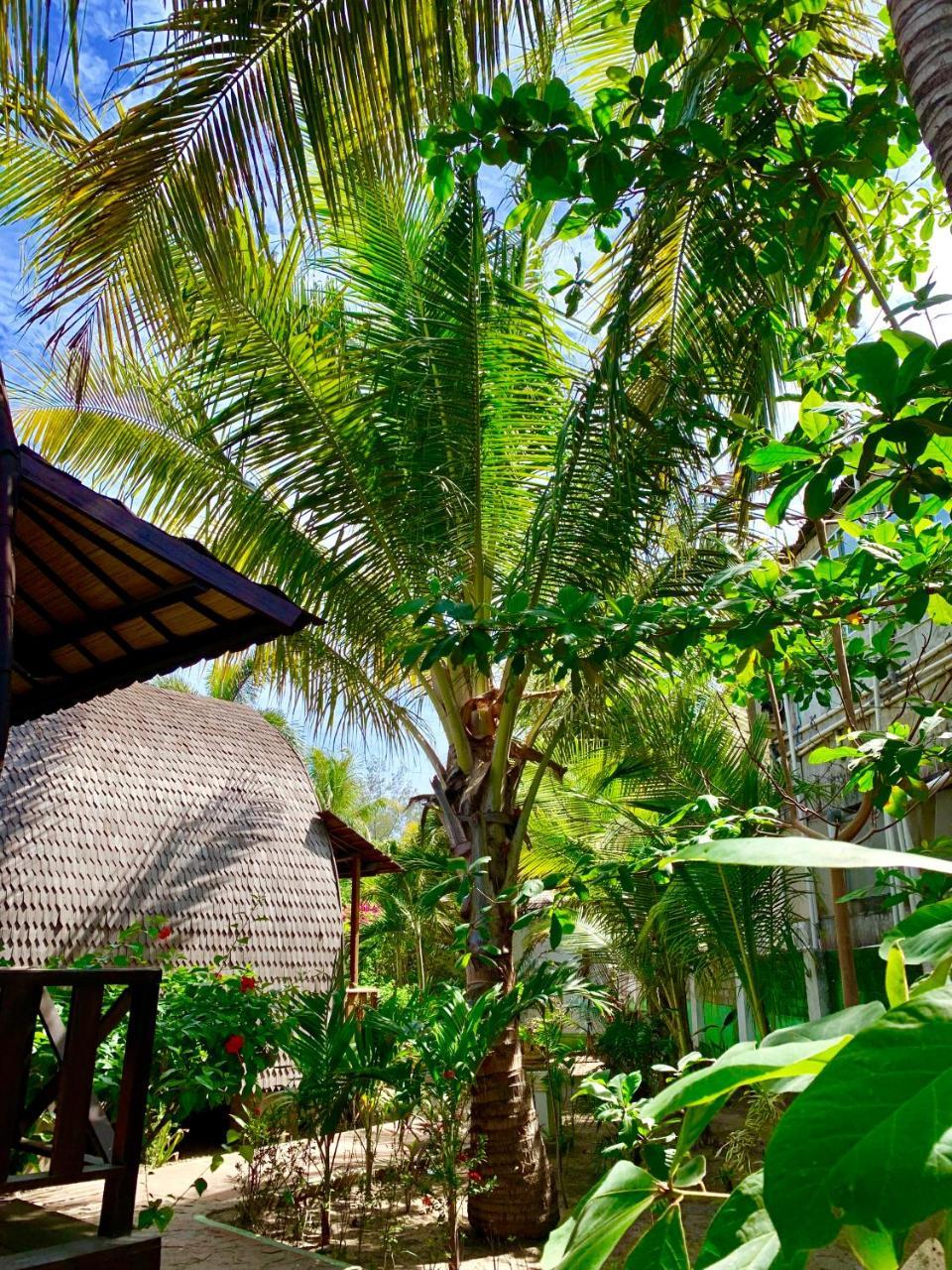 Damai Village Gili Trawangan Kültér fotó